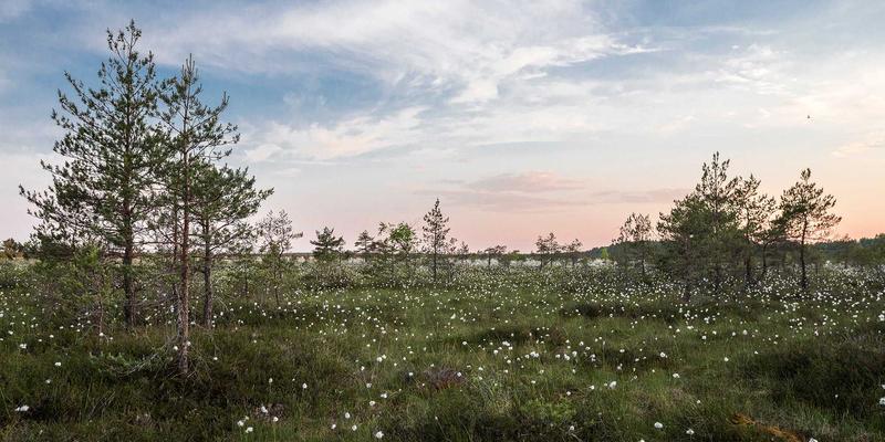 不止是拍照，更是定格爱：318影像揭秘宠物摄影抓拍与情绪引导心法