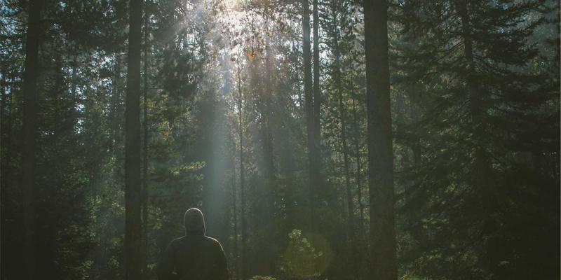 从建筑到人像：专业摄影师必学的透视矫正与空间感营造技巧