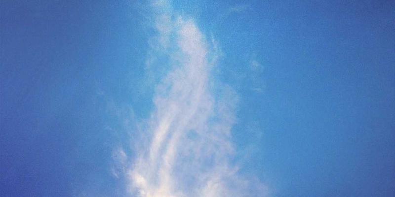 超越数据之美：如何用商业摄影为年度报告与宣传册注入品牌灵魂